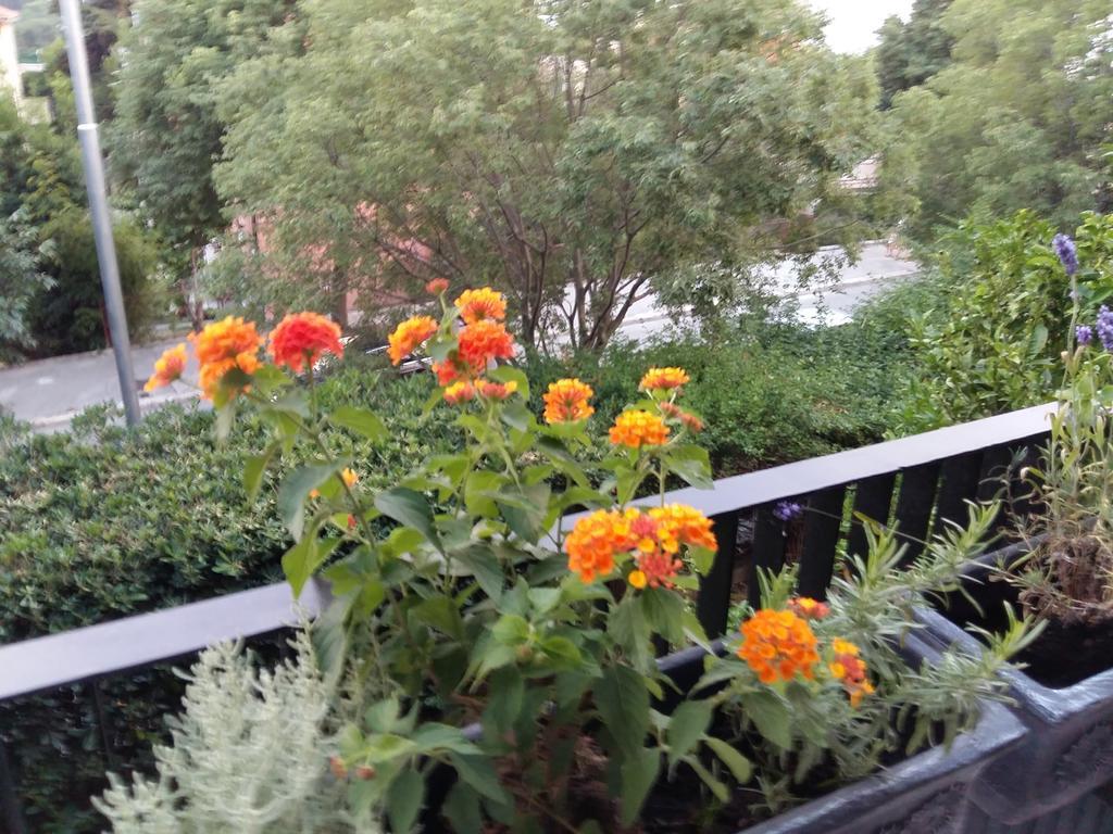 Apartment Macho สปลิท ภายนอก รูปภาพ
